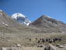 Kailash2009_1768 